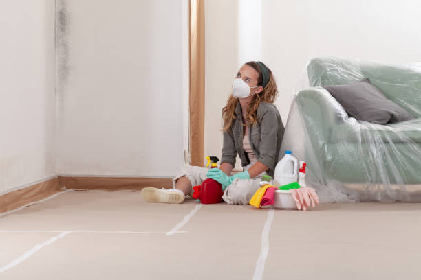 Reliable Mold Inspection contractor in Tempe, AZ by WQB Mold Removal